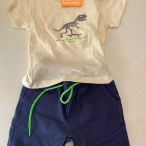 Conjunto dinossauro esqueleto