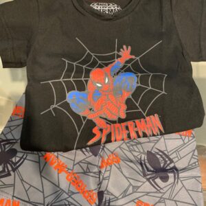 Conjunto homem aranha