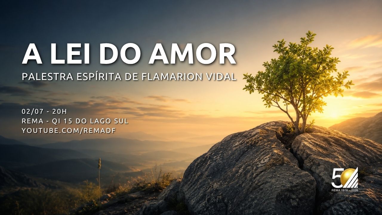 A lei do amor